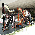 Pict0034
