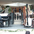 Pict0063