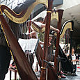 Pict0028