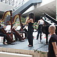 Pict0048