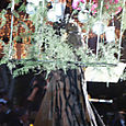 Pict0081