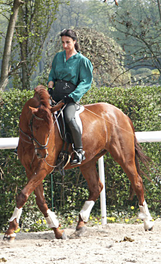 Dressage
